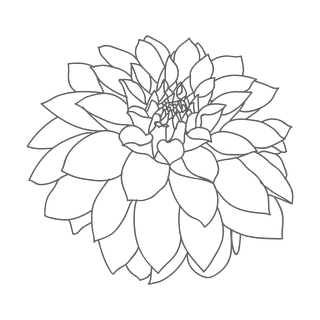 eleganthand-drawn-florals-for-invitations-and-cards-831459