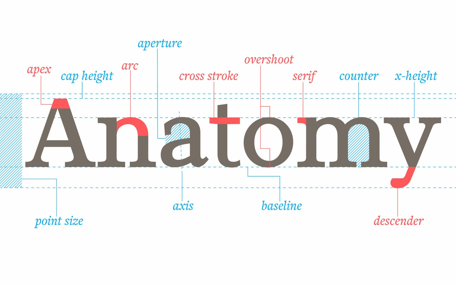 Understanding the Anatomy of Letterforms in Typography