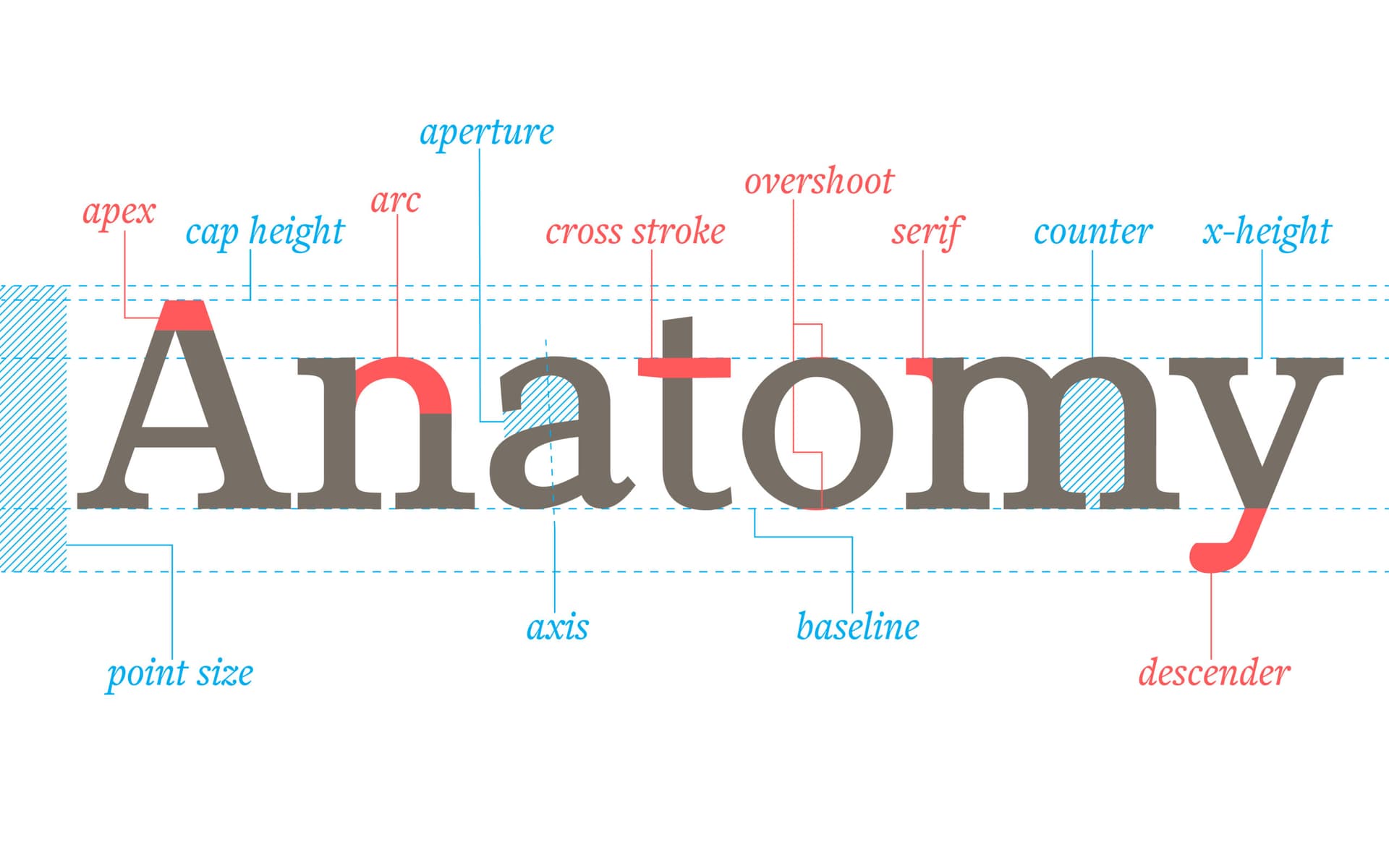 Anatomy of Letterforms