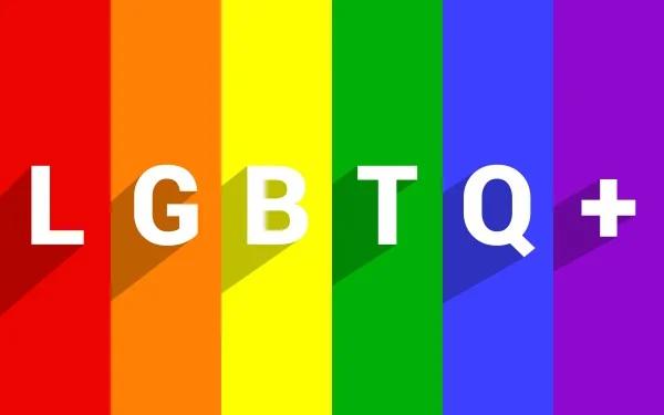 What does the LGBT flag mean?