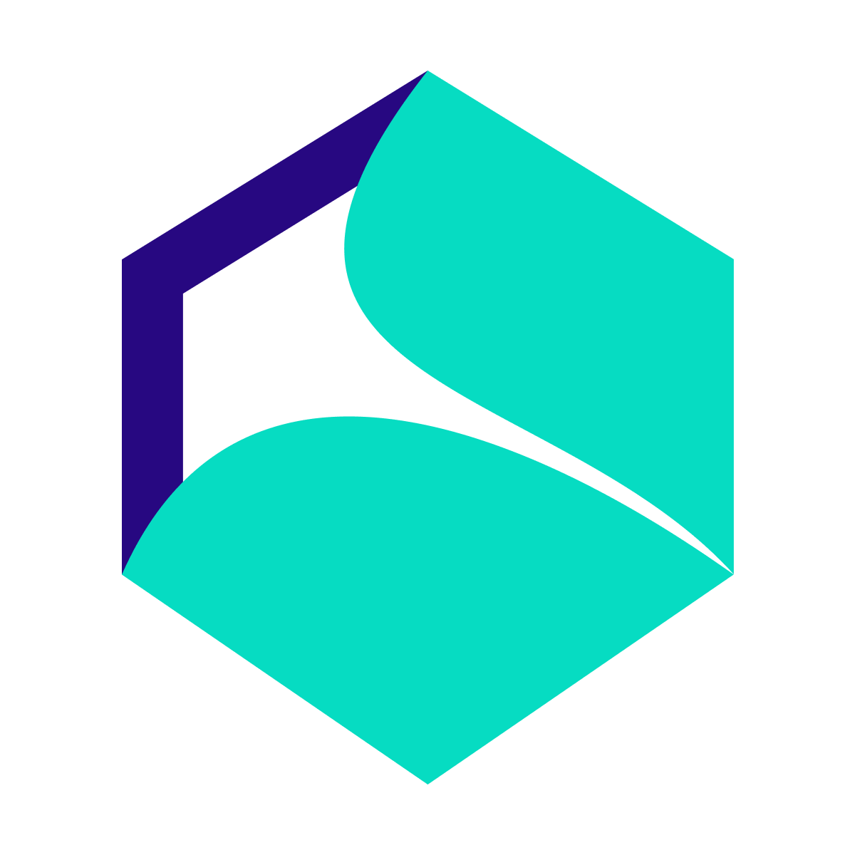 abstract flat logo with curved teal shapes on a dark blue hexagonal outline