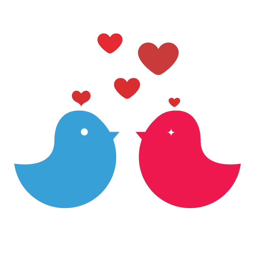 cute minimal love birds illustration for romantic greeting cards