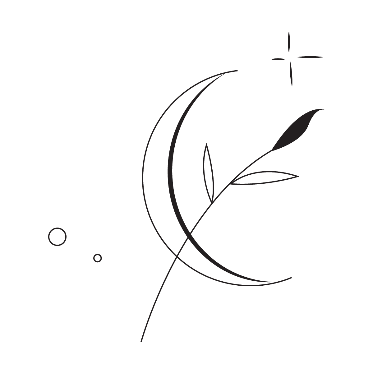 dreamy celestial minimal line art with botanical element