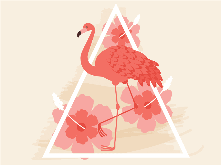 colorful flamingo with background