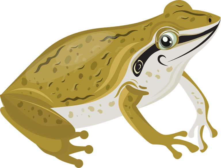 a frog frog species icons collection colorful cartoon 
