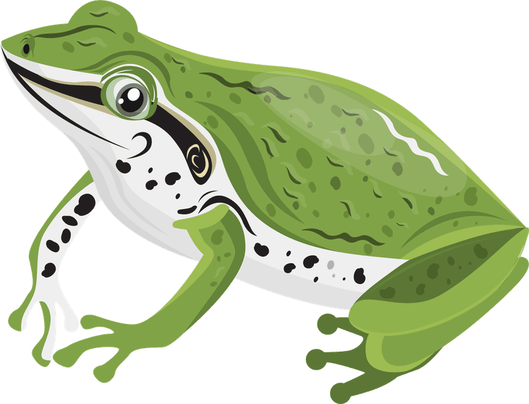 a frog frog species icons collection colorful cartoon 