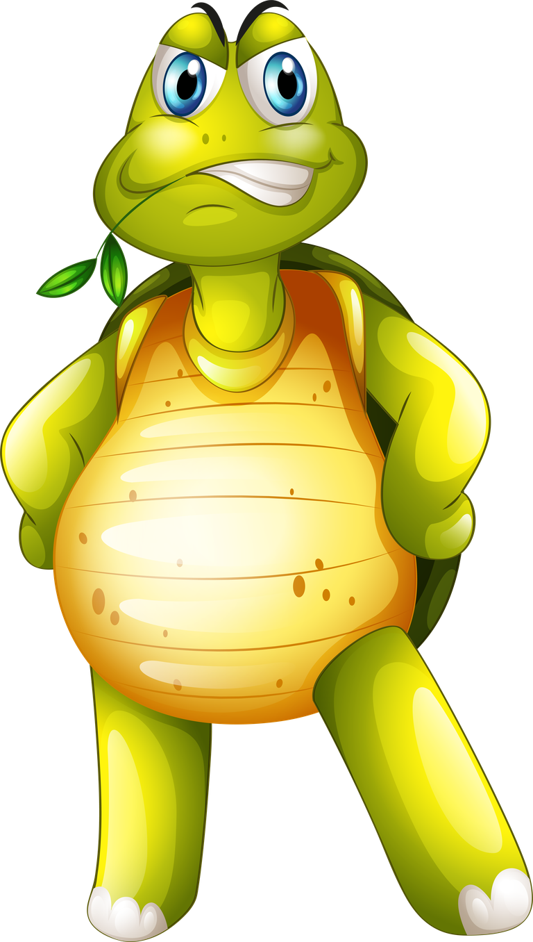 a turtle all kinds of turtle cartoon vector