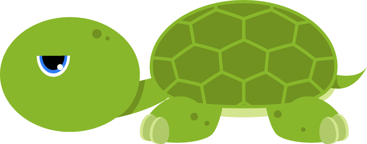 a turtle cartoon turtle vector