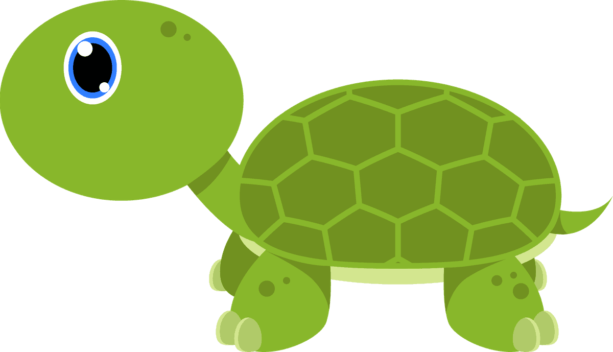 a turtle cartoon turtle vector