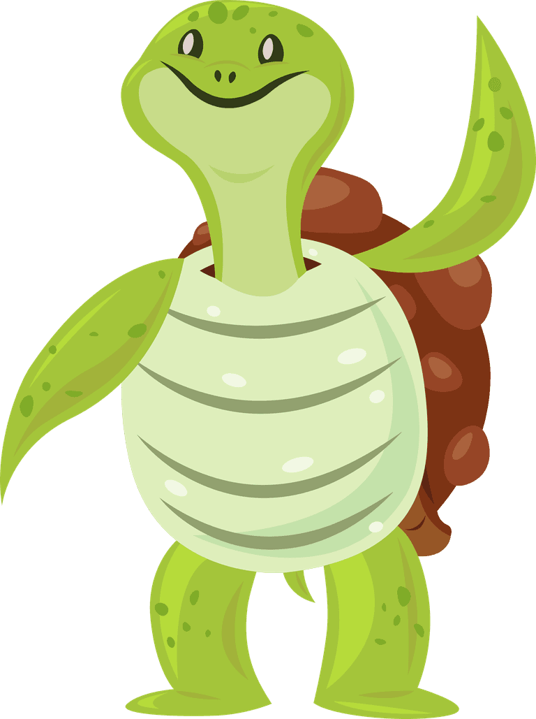 a turtle set humor animation character dance sleep eat enjoy entertainment