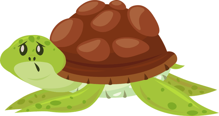 a turtle set humor animation character dance sleep eat enjoy entertainment