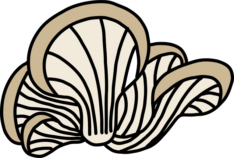 abalone mushroom doodle freehand sketch