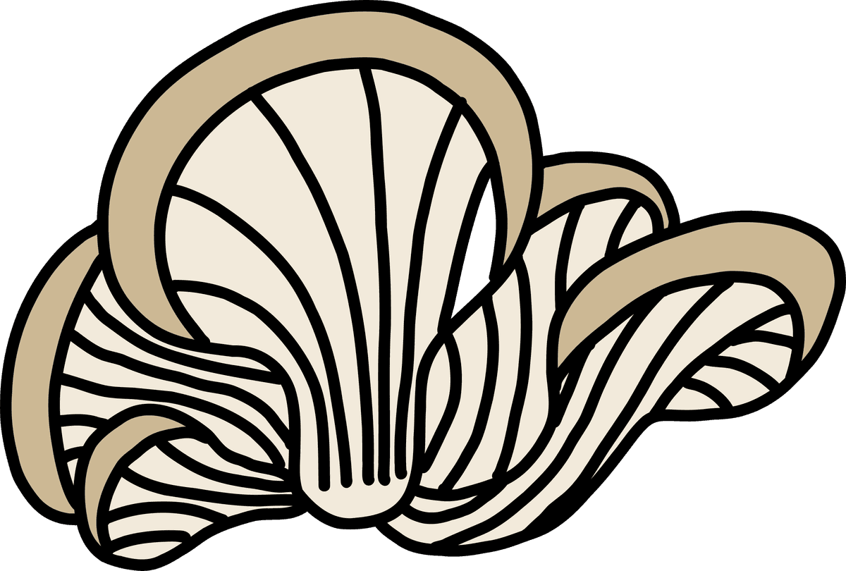 abalone mushroom doodle freehand sketch with intricate lines and natural form for creative projects