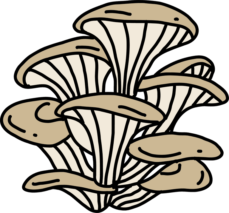 abalone mushroom doodle freehand sketch for culinary use and artistic projects