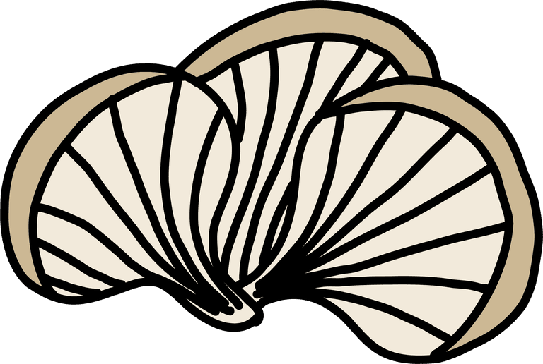 abalone mushroom doodle freehand sketch
