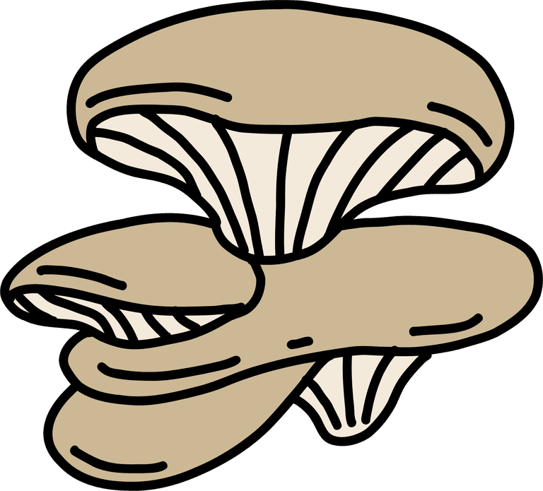 abalone mushroom doodle freehand sketch for creative projects and culinary purposes