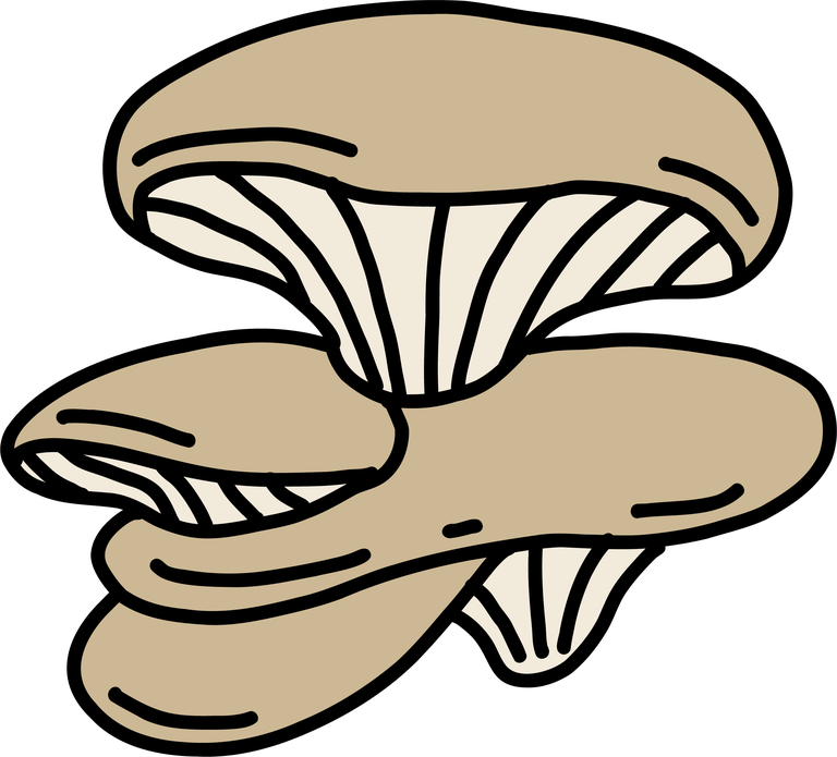 abalone mushroom doodle freehand sketch