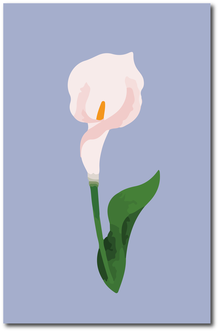 abstract botanical art cover featuring elegant calla lily on soft pastel background
