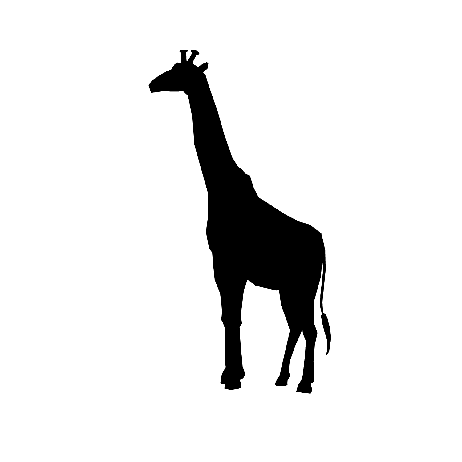african wild animals silhouette 