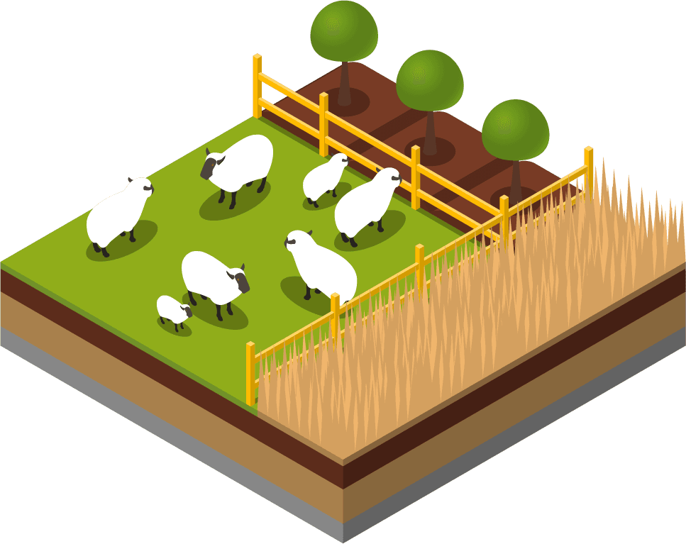 agricultural compositions isometric set featuring sheep, crops, and fencing for farming visuals