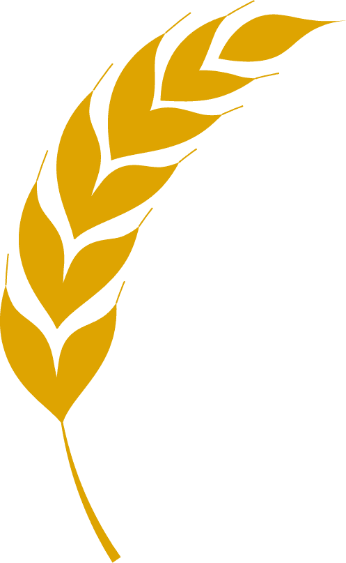 agriculture wheat icon bread agriculture and natural eat wheat ears