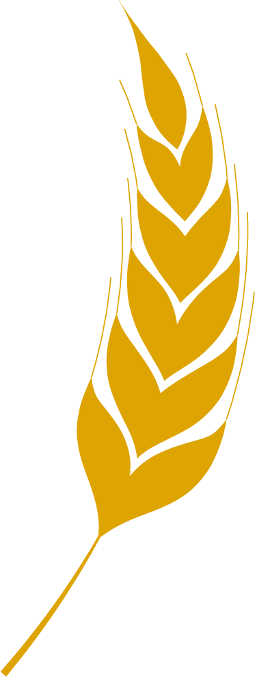 agriculture wheat icon bread agriculture and natural eat wheat ears