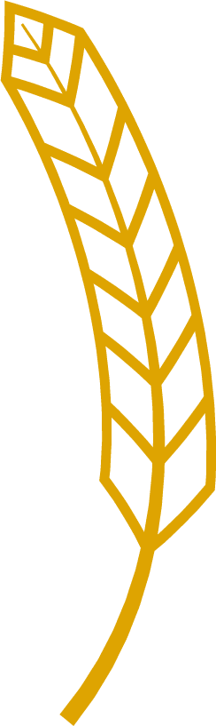agriculture wheat natural eat wheat ears line icon