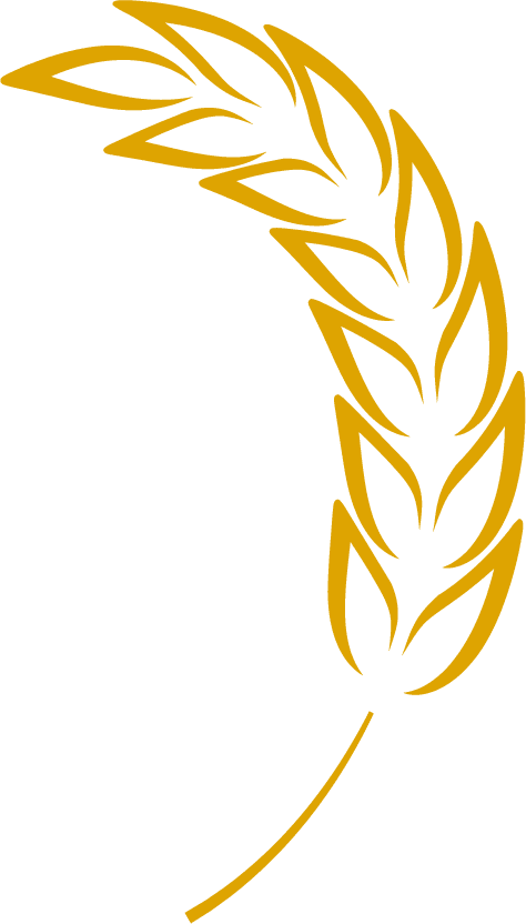 agriculture wheat natural eat wheat ears line icon