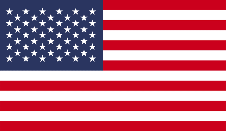 american flag with difference style