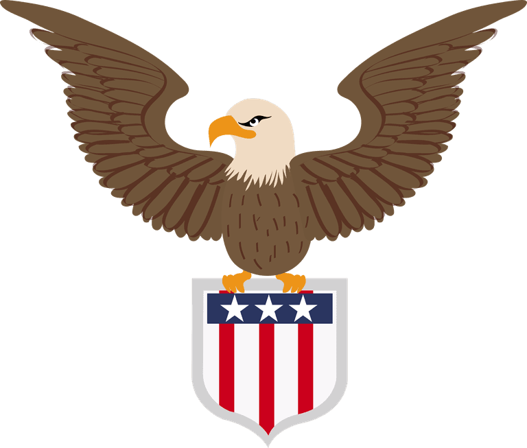 american flag with different style featuring an eagle and shield for patriotic occasions