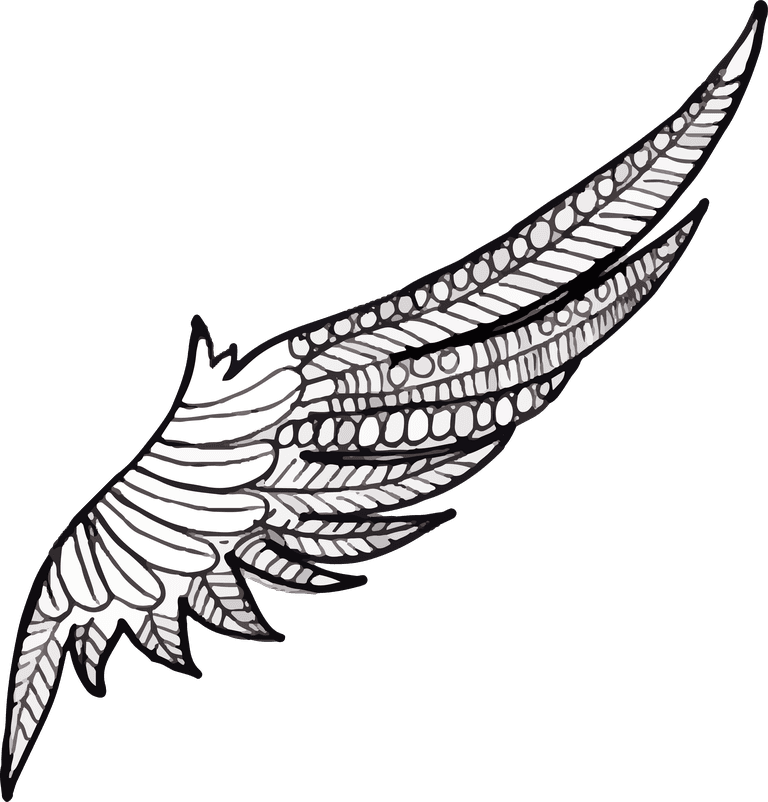 Angel wings hand drawn black white wings collection