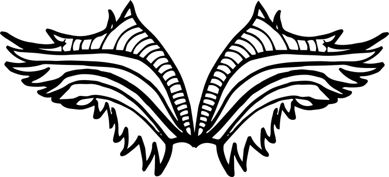 Angel wings hand drawn black white wings collection