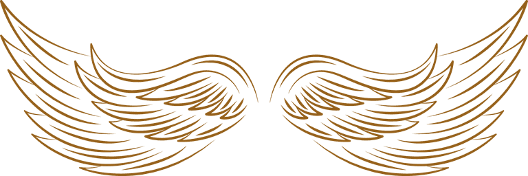 Angel wings icons with a variety of unique design and wearing a outline design style