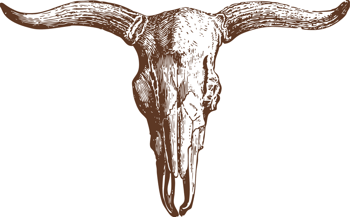 animal bones animal skulls ai illustration for rustic decor and educational purposes