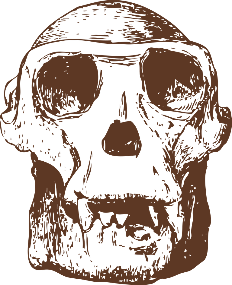 animal bones animal skulls ai for creative projects and educational purposes