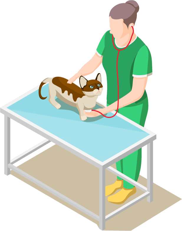 animal care volunteers isometric icons showcasing veterinary assistance and pet care services