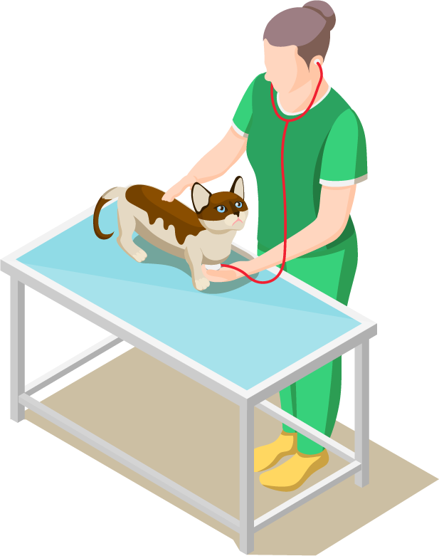 animal care volunteers isometric icons showcasing veterinary assistance and pet care services