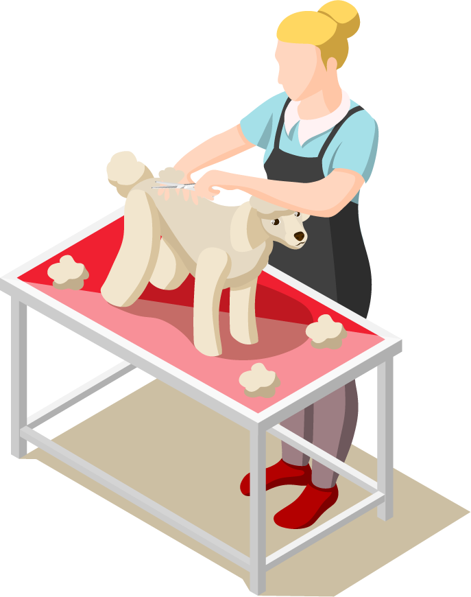 animal care volunteers isometric icons for grooming, pet care, and animal welfare services