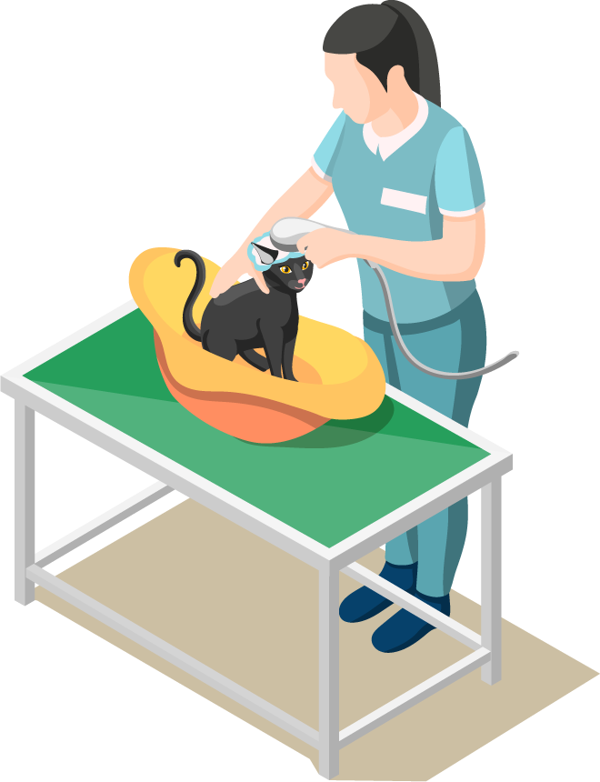 animal care volunteers isometric icons for pet health and veterinary assistance