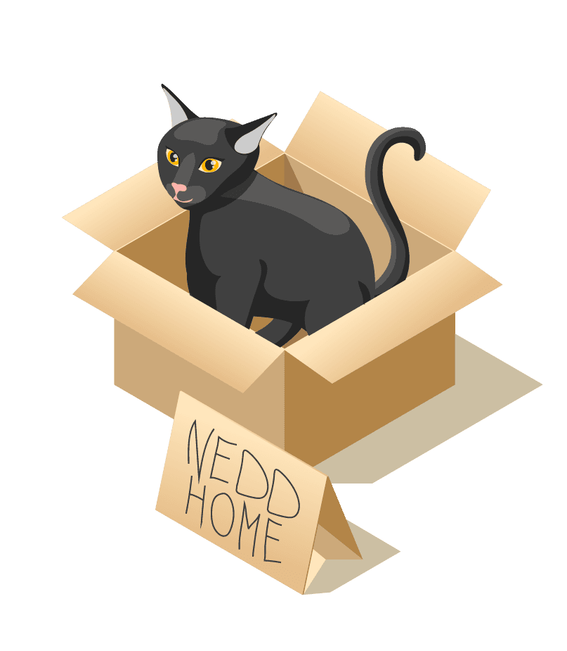 animal care volunteers isometric icons featuring a playful cat in a box