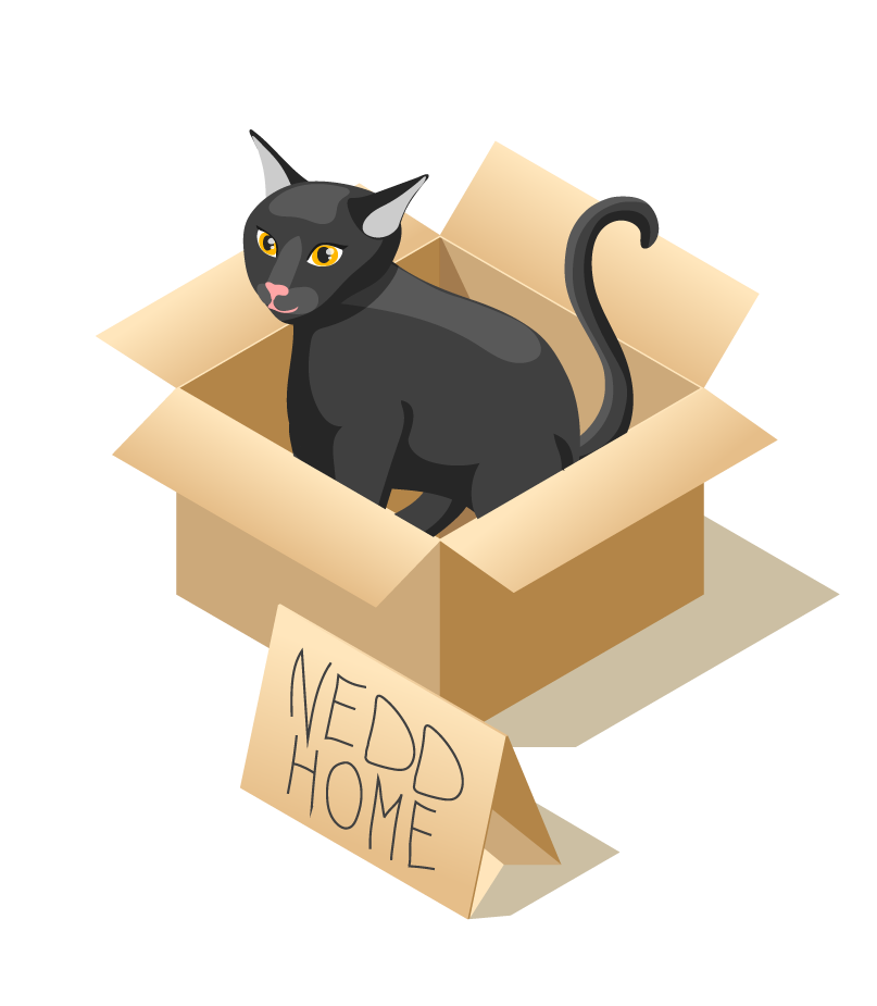 animal care volunteers isometric icons featuring a playful cat in a box