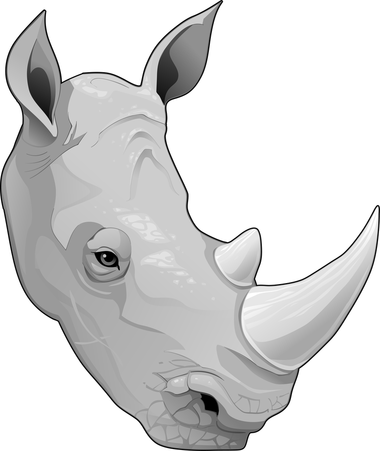 animal head african animals collection featuring a majestic rhinoceros for wildlife enthusiasts