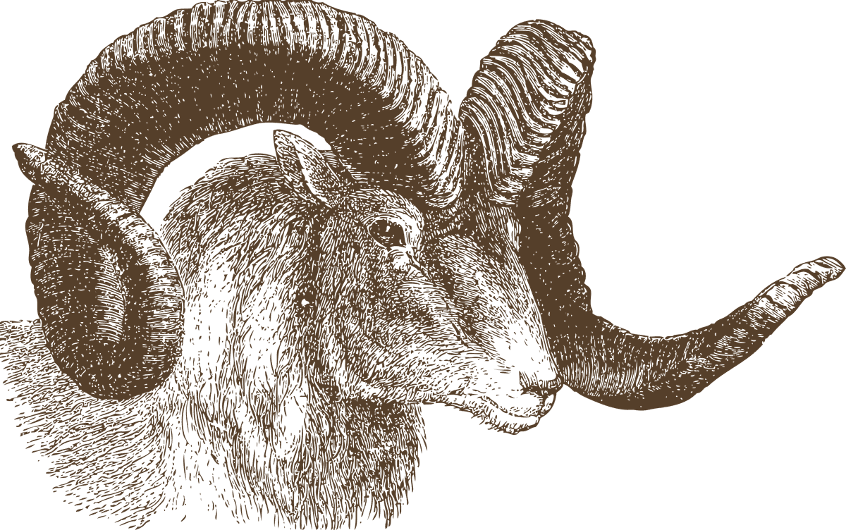 unique animal head animal heads illustration with natural texture and warm tones