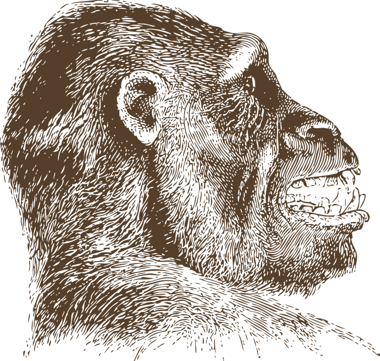 intriguing animal head animal heads illustration featuring detailed textures and lifelike features