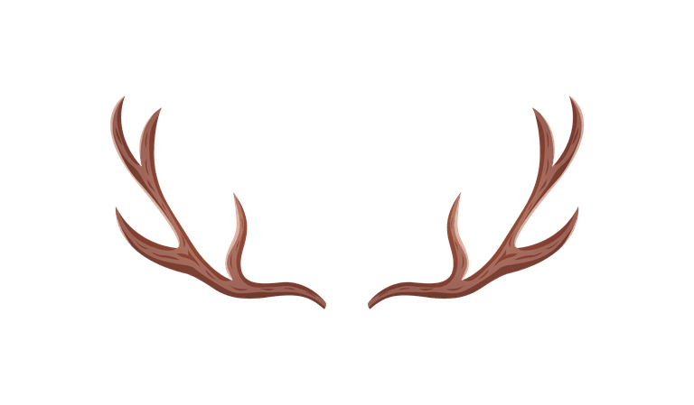 animal horns horn antlers set ramhorn parts illustration masculine horns of hunting