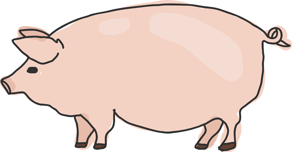 animal images simple animals unique playful pig illustration for educational purposes