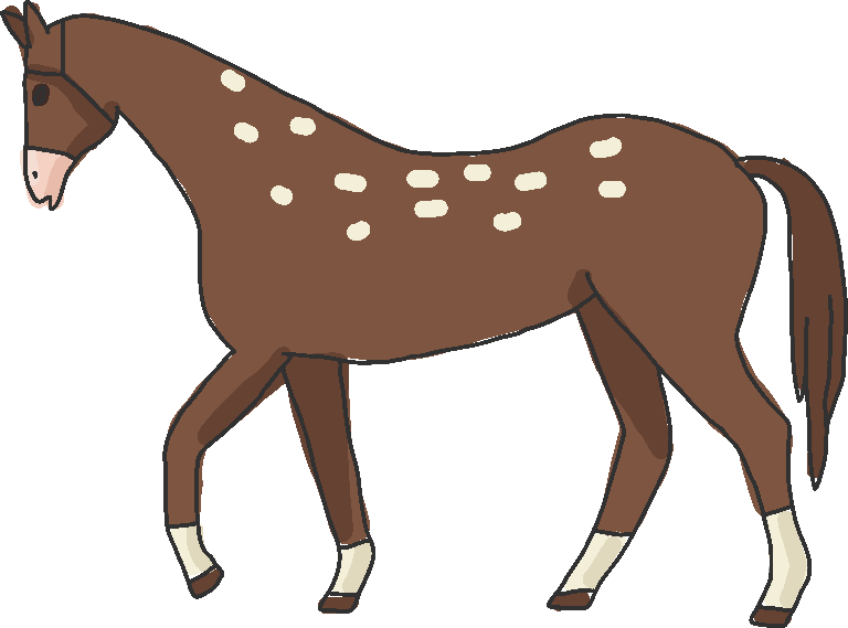 animal images simple animals unique horse illustration perfect for educational projects