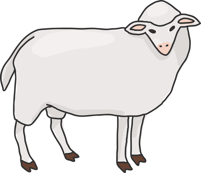 animal images simple animals unique cartoon sheep for playful children’s projects