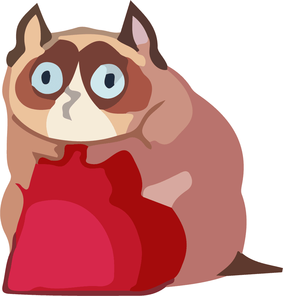 animal raccoon beautiful cute vector