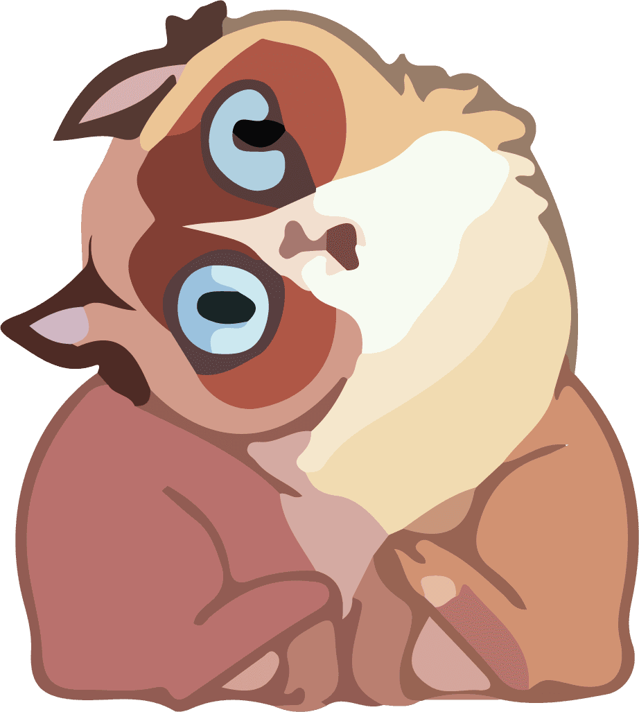 animal raccoon beautiful cute vector